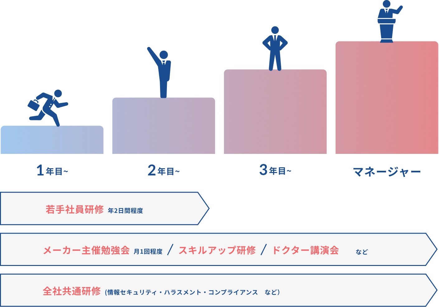 研修制度1年目~マネージャー