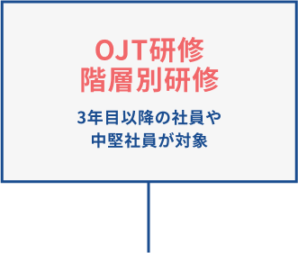 3年目~